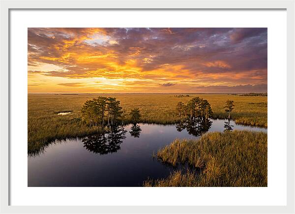 Florida Everglades At Golden Hour
