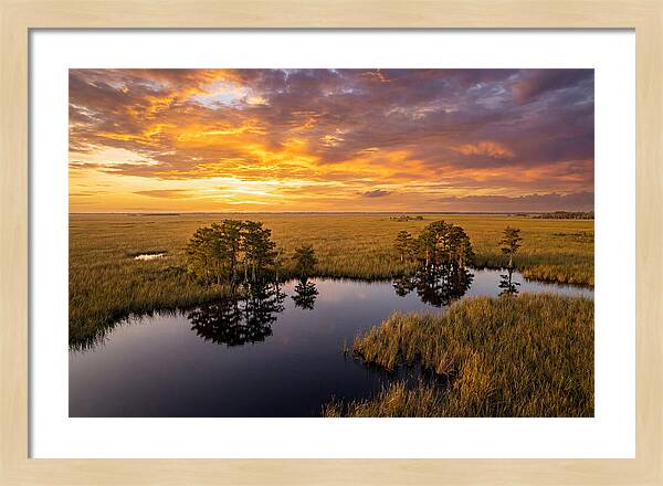 Florida Everglades At Golden Hour