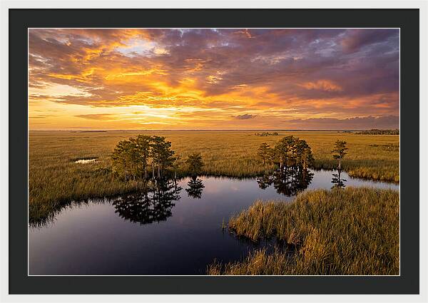 Florida Everglades At Golden Hour