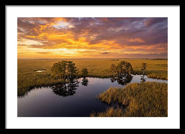 Florida Everglades At Golden Hour