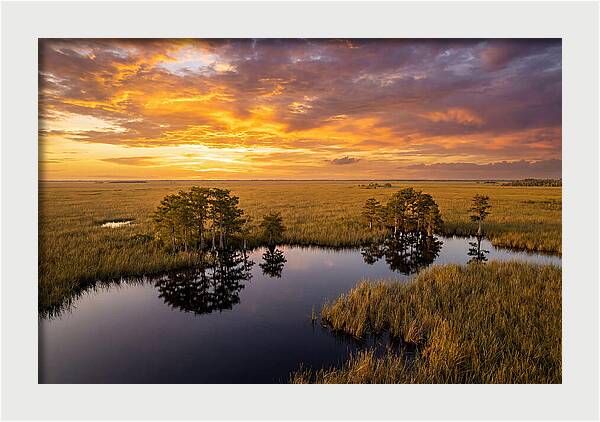 Florida Everglades At Golden Hour
