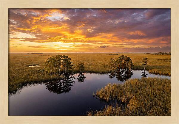 Florida Everglades At Golden Hour