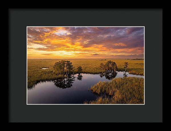 Florida Everglades At Golden Hour