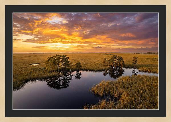 Florida Everglades At Golden Hour
