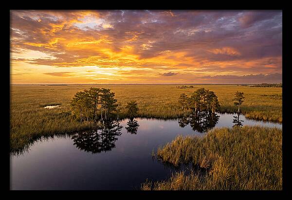 Florida Everglades At Golden Hour