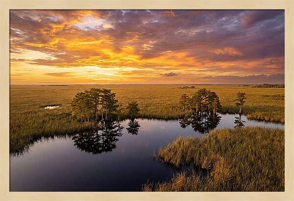 Florida Everglades At Golden Hour