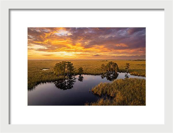 Florida Everglades At Golden Hour