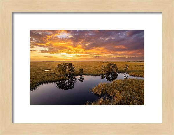 Florida Everglades At Golden Hour