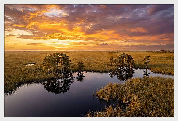 Florida Everglades At Golden Hour