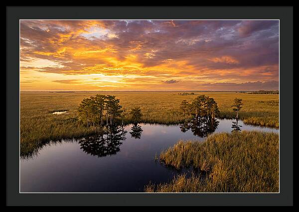 Florida Everglades At Golden Hour