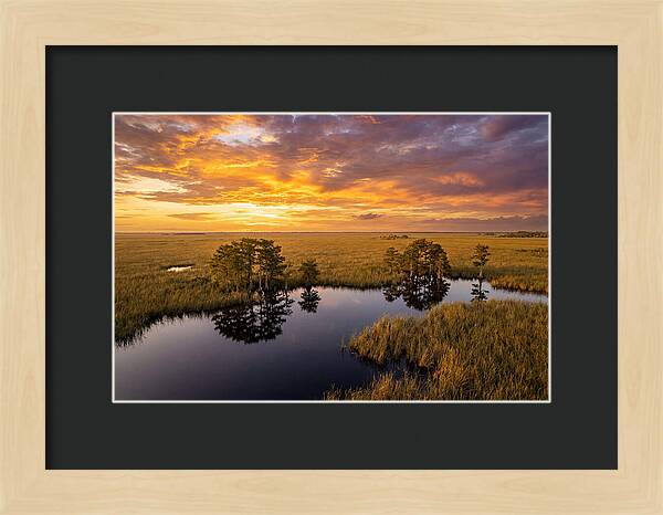 Florida Everglades At Golden Hour