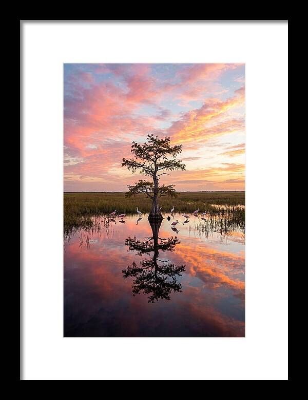 Florida Everglades Sunrise Reflection