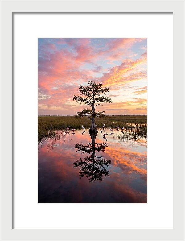 Florida Everglades Sunrise Reflection