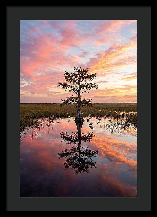 Florida Everglades Sunrise Reflection