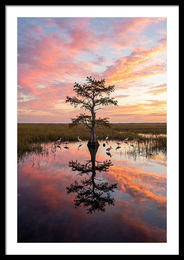 Florida Everglades Sunrise Reflection