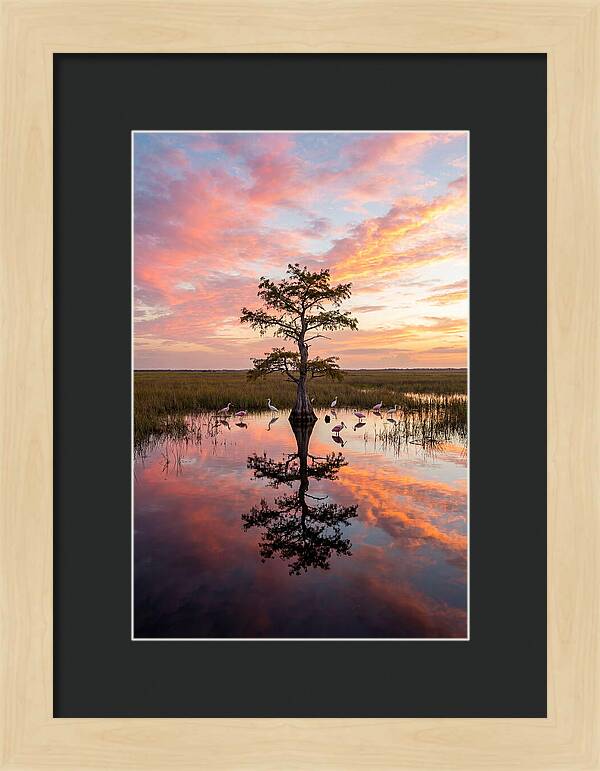 Florida Everglades Sunrise Reflection