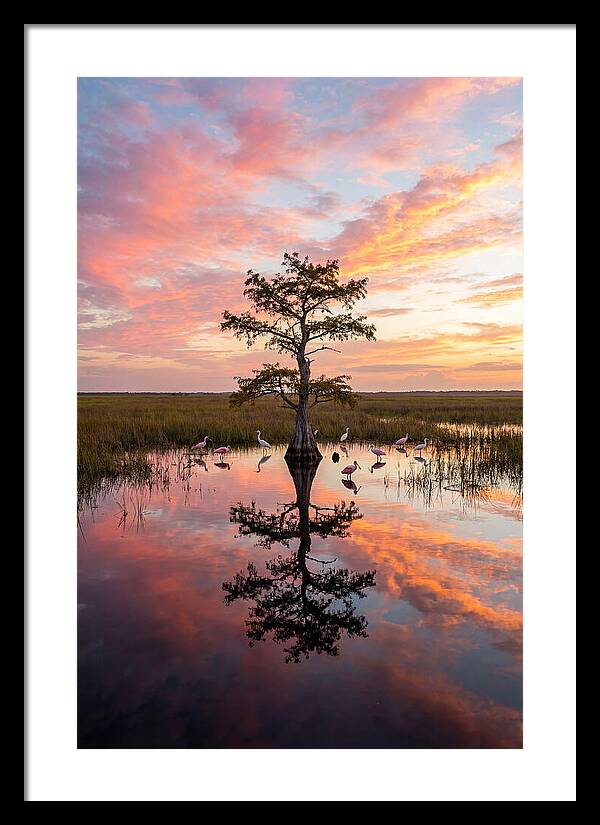 Florida Everglades Sunrise Reflection
