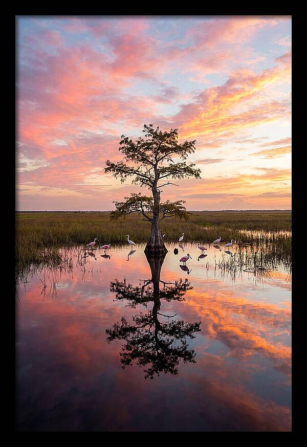 Florida Everglades Sunrise Reflection