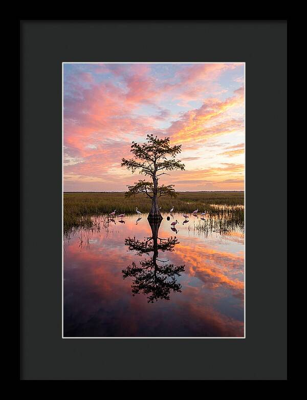 Florida Everglades Sunrise Reflection
