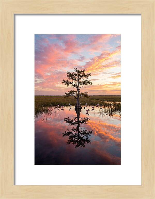 Florida Everglades Sunrise Reflection