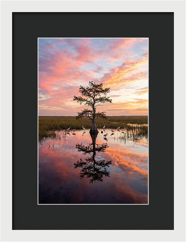 Florida Everglades Sunrise Reflection