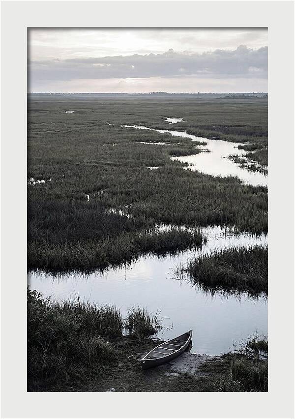 Florida Everglades Sunrise Serenity