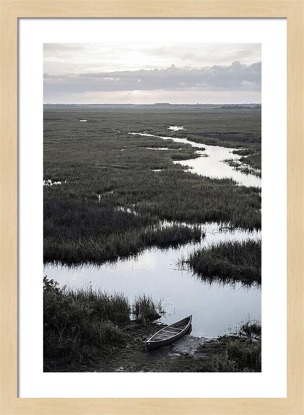 Florida Everglades Sunrise Serenity