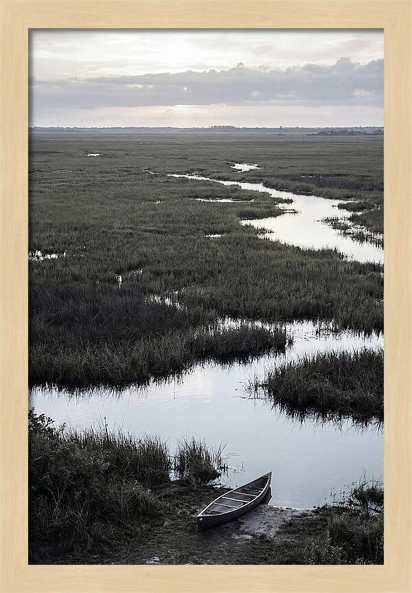 Florida Everglades Sunrise Serenity