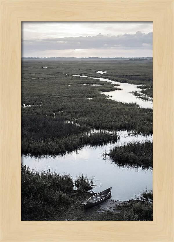 Florida Everglades Sunrise Serenity