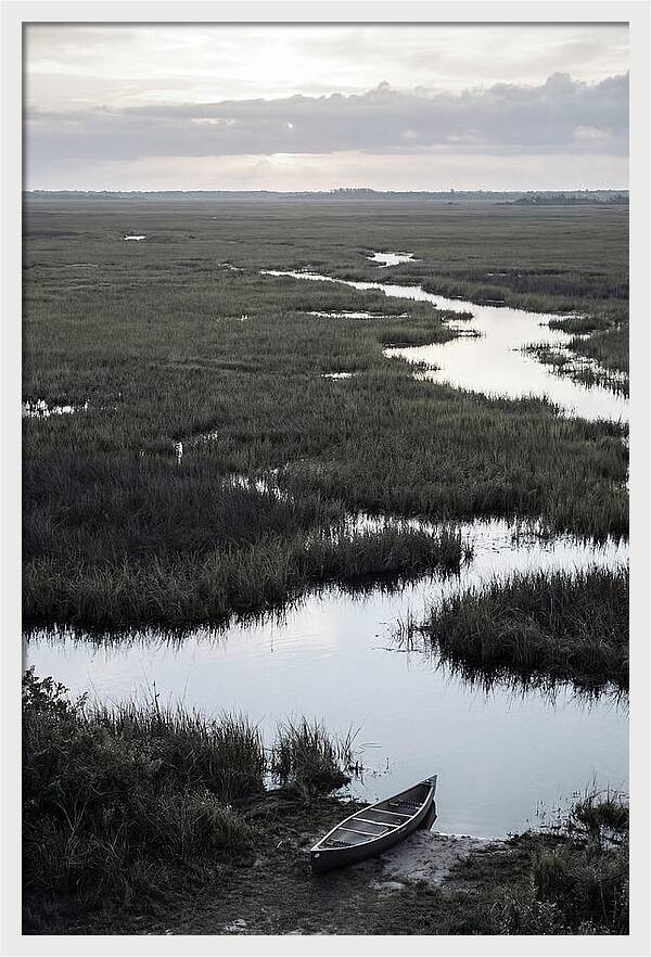Florida Everglades Sunrise Serenity