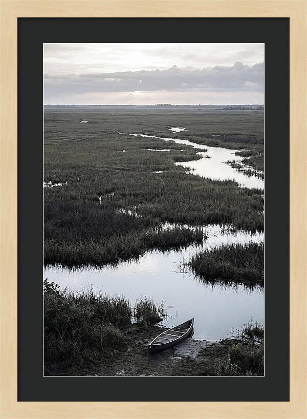 Florida Everglades Sunrise Serenity
