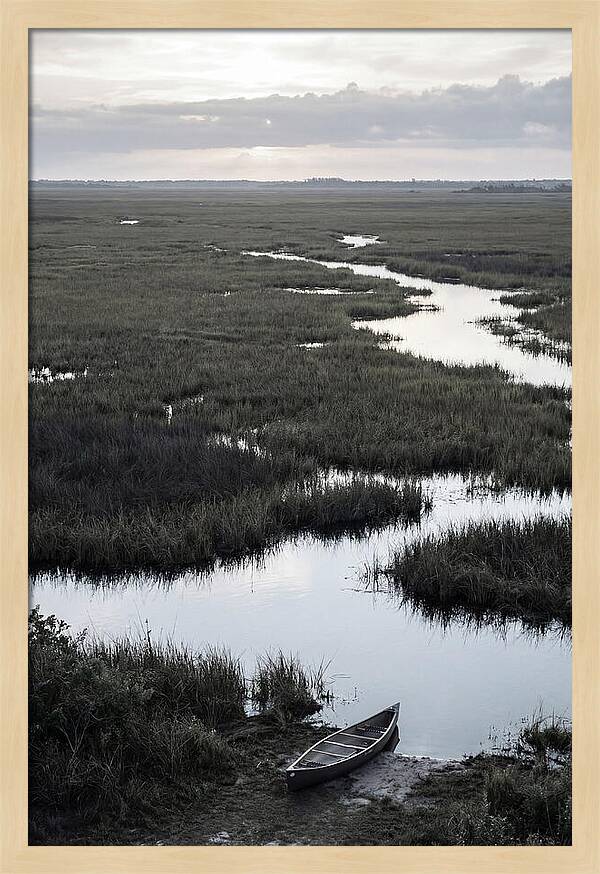 Florida Everglades Sunrise Serenity
