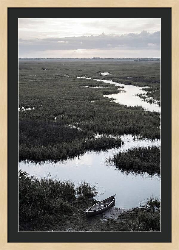 Florida Everglades Sunrise Serenity