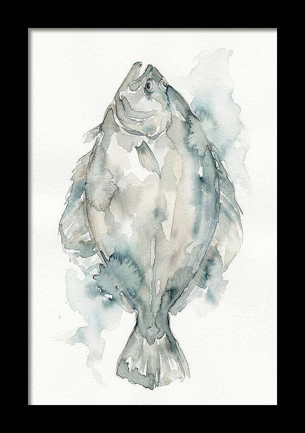 Flounder Watercolor Study