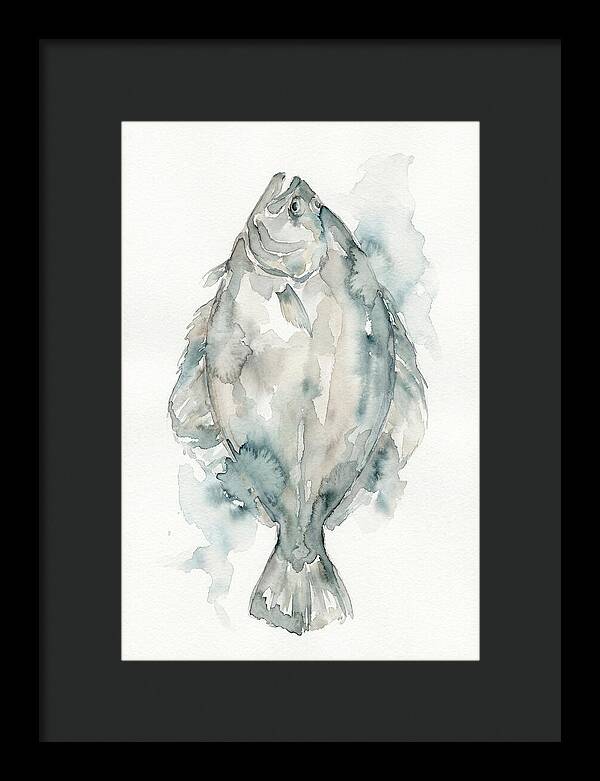Flounder Watercolor Study