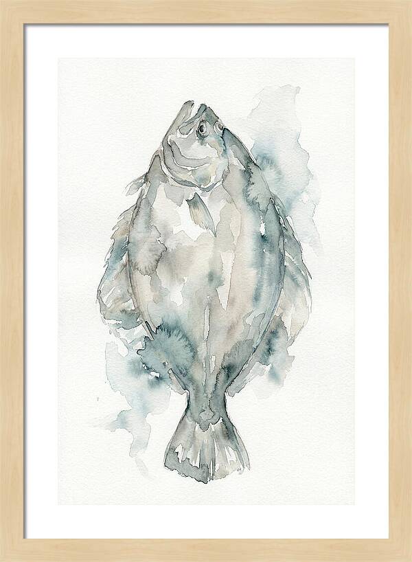 Flounder Watercolor Study