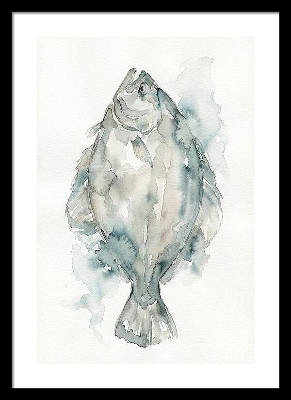 Flounder Watercolor Study
