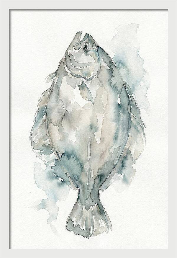 Flounder Watercolor Study