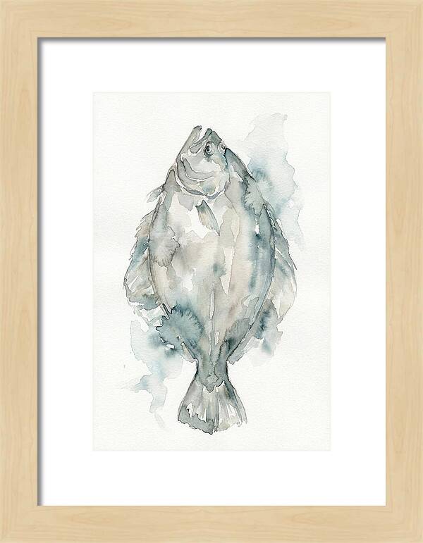 Flounder Watercolor Study