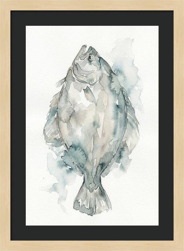 Flounder Watercolor Study