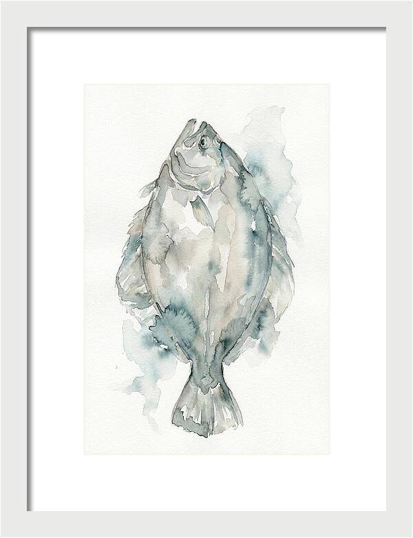 Flounder Watercolor Study