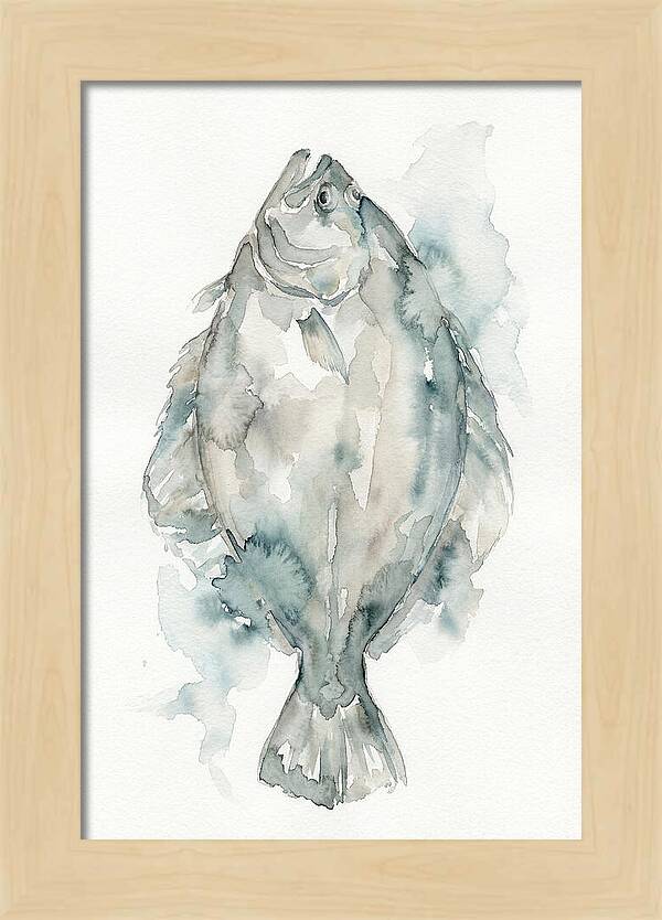 Flounder Watercolor Study