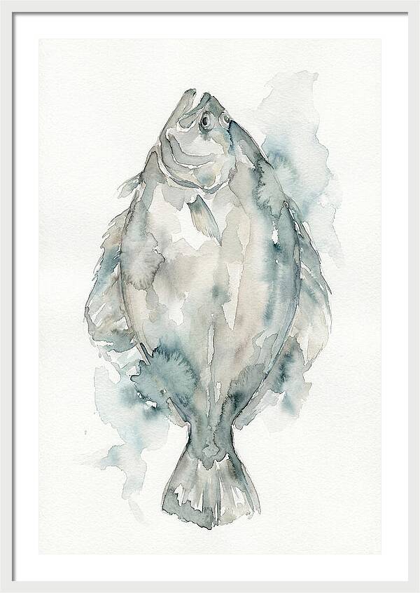 Flounder Watercolor Study