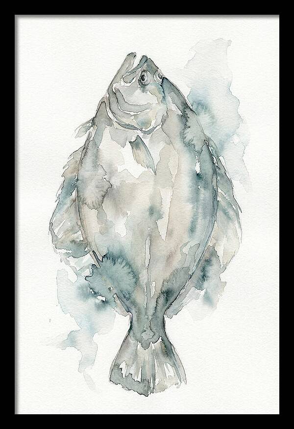 Flounder Watercolor Study