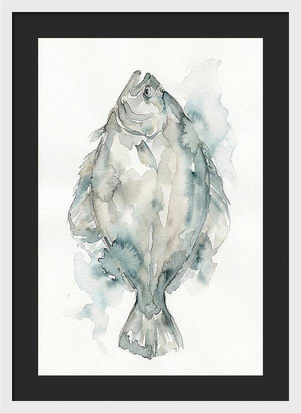 Flounder Watercolor Study