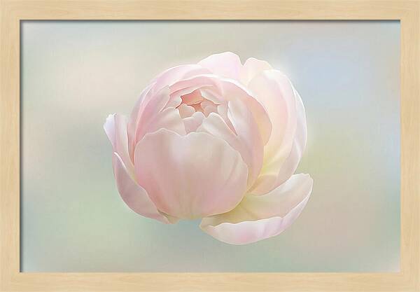 Flower Bud Opening