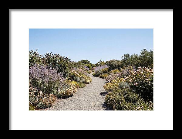 Flower Garden Pathway Lined In Blooms