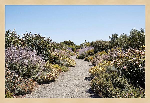 Flower Garden Pathway Lined In Blooms