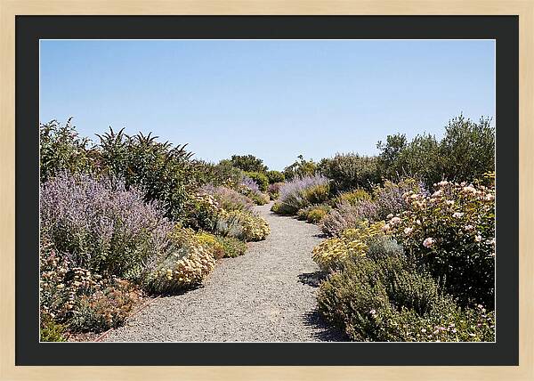 Flower Garden Pathway Lined In Blooms