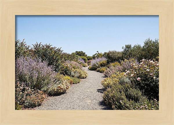 Flower Garden Pathway Lined In Blooms
